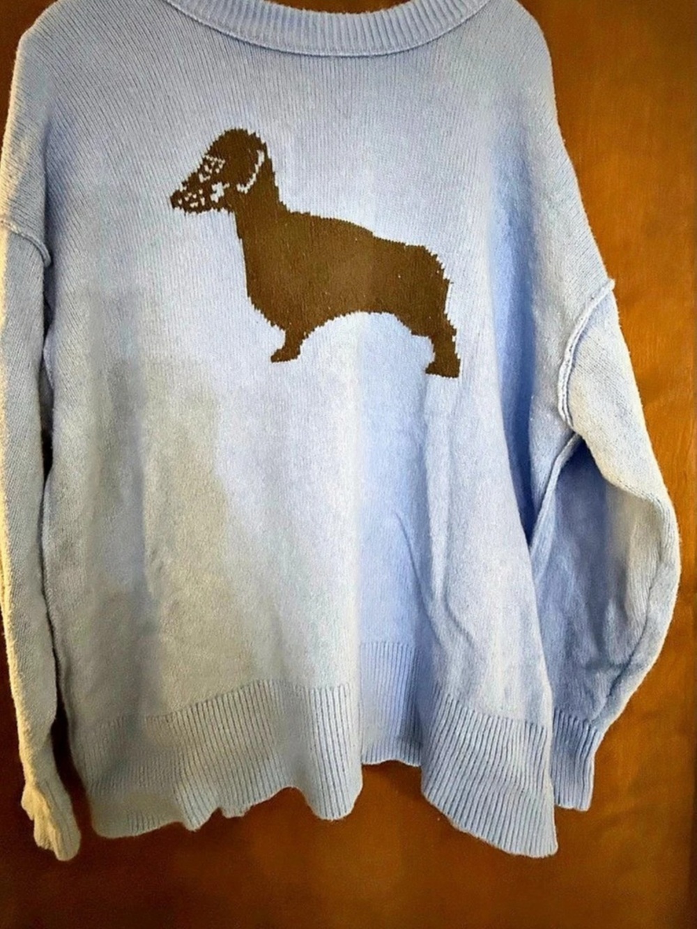 aerie Dachshund Dog Intarsia Knit Crewneck Sweater Blue Medium